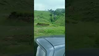 viarl reel you tube