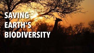 Saving Earth's Biodiversity | YOUR Innovation Roadshow at the Museum of the Rockies