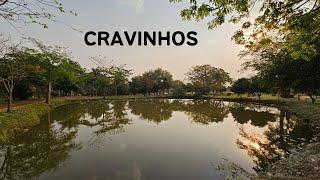 Cravinhos SP - Passeio da Rota 408 pela cidade de Cravinhos - 12° Temp - Ep 29