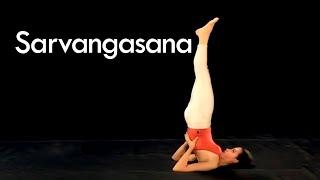 How to do Shoulder Stand (Sarvangasana pose in Yoga)