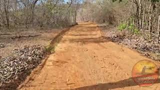 Patonho tem a estrada da sua casa arrumada veja como ficou