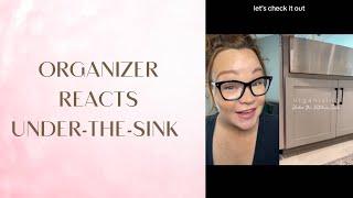 Organizer Reacts: Under-The-Sink