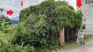 Transforming Grandpa's 80-Year-Old House by Cleaning and Removing Overgrown Vegetation | inspire