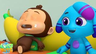 Sleep Over, Funny Cartoon and Animal Show for Kids