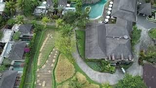 Ubud by Drone 2023   4K   by JoeBiker25