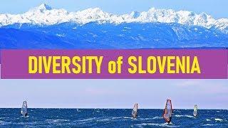 Diversity of Slovenia (CC: English, Slovene, Croatian)