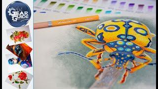 Digital Bug Art Using Kalour Budget Colored Pencils