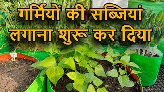 मैंने गर्मियों की सब्जियां लगाना शुरू कर दिया आप भी कर दीजिये | Summer Season vegetables Planting