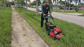 SATISFYING Grass Cut - Bagging WET Grass and REMOVING The Clippings