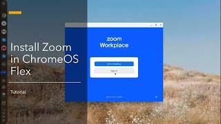 How to Install Zoom in ChromeOS Flex