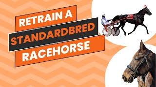 Standardbred Retraining Series - Episode 1: First Ride