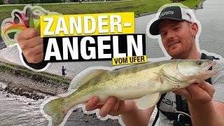 Zanderangeln am Fluss: so fängst du vom Ufer!