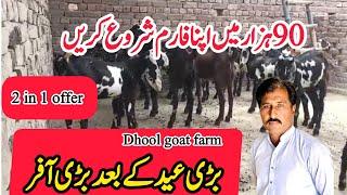 Qurbani 2025 goat offer||Goat farming ||Dhool goat farm