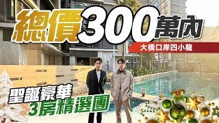 大橋口岸四小龍｜總價300萬內！三房精選圣诞豪華團｜中海寰宇天下｜琴澳新城悅璽｜雙瑞藏瓏灣｜華發四季雲山｜珠海十字門灣仔｜精選3房｜年末聖誕睇樓團｜優質地段｜核心資產｜大灣區如何置業｜如何投資大灣區