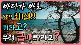 [ 바닷가 1선 급매물 ]눈물의 급매 바다 바로 앞 땅 1선 바다 1선 땅 바다 앞 땅 매물 바닷가땅 매매 바다 앞 토지 매매