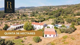 Quinta em Portalegre com 56 hectares | Ref. 3111