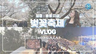 [브이로그] G.A.i.A.와 함께 즐기는 벚꽃축제 | 아주대학교 벚꽃축제 브이로그