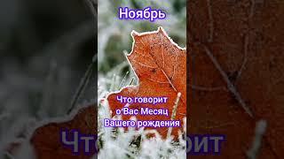 Ноябрь Что о Вас говорит Месяц Вашего Рождения #гороскоп #топ #удача #Ноябрь #судьба #характер #путь