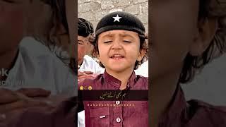 Pathan Bacha | Funny | Tiktok