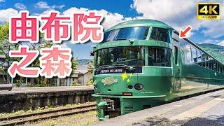 Kyushu's most difficult to grab a sightseeing train! The forest of Yufuin is a must-see in this life