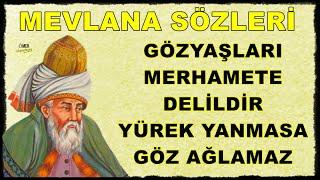 Hz. Mevlana Sözleri  Mutlaka Dinleyin İlaç Gibi  Gözyaşları merhamete delildir...!!!