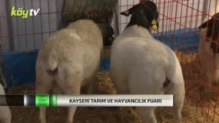 KAYSERİ FUARI | CEMİL BEKTAŞ - DORPER ÇİFTLİĞİ