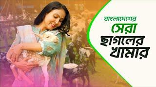 আস্থা এগ্রো একটি নির্ভরযোগ্য ছাগলের খামার । Astha Agro । Farming Business । Goat Farm Business