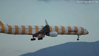 Palma de Mallorca Planespotting - Sunset Landings 2024-10-21