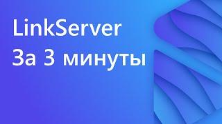 LinkServer за 3 минуты