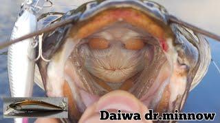 Daiwa dr.minnow on shallow river.
