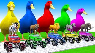 5 Giant Duck Cartoon, Cow, Mammoth, Elephant, Tiger, Paint Wild Animals Crossing Fountain Animation