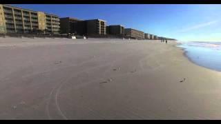 Chasing the birds on the beach with the Phantom 3