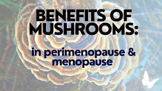 Medicinal Mushrooms and Their Benefits for You