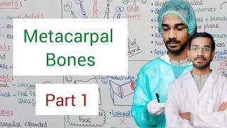 Metacarpal Bones | Upperlimb Anatomy