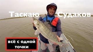 Таскаю судаков с одной точки. Осенний джиг. Evergreen Poseidon Squidlaw SS 84MH