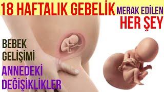 18 Haftalık Gebelik (2023)