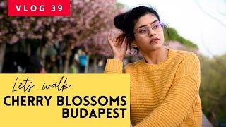 Fresh cherry blossoms | Budapest | Spring of Hungary | Tulsi's travel vlog 39