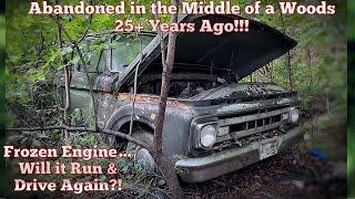 Rare Ford F100 ABANDONED in the Forest 25+ Years Ago!! Will it Run & Drive?!