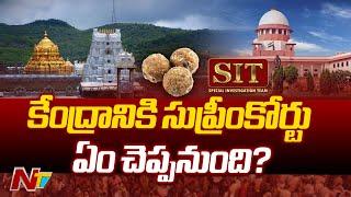 Supreme Court to Resume Hearing on Tirupati Laddu Case Today | Ntv