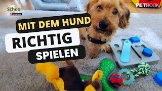 So spielst du richtig mit dem Hund I Dogschool I PETBOOK