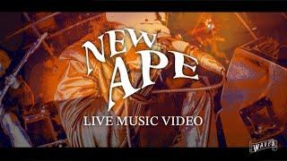 WAVES - new ape(OFFICIAL LIVE MUSIC VIDEO)