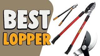 Best Lopper in 2020 – Top Selections & Top Products!