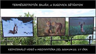 TERMÉSZETFOTÓK BAJÁN, a SUGOVICA SÉTÁNYON