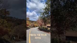 반계리은행나무 보고 강천섬 가는길