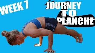 They Say Basics is the Key - Journey to planche week 7