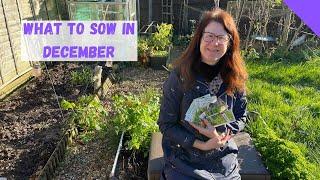 What To Sow In December - Allotment Gardening For Beginners