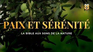 Paix et Sérénité. La Bible aux sons de la nature #biblevision