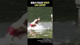 물놀이 하는데 악어가 나타난다면?[지식현타]