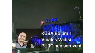 KÜBA'DA BİR GÜN VİNALES VADİSİ PURO