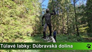 Túlavé labky: Dúbravská dolina